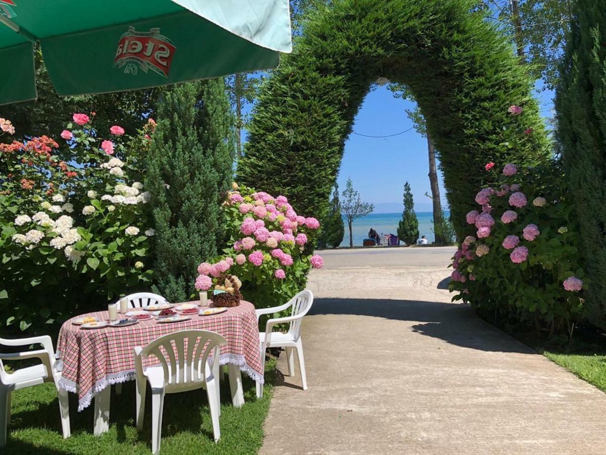Vila Deni Tushemisht 외부 사진